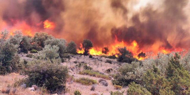 Βοιωτία: Στις φλόγες το παραλιακό μέτωπο – Συνεχής μάχη με τις αναζωπυρώσεις