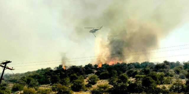 Φωτιά στη Βοιωτία: Νεκρός κτηνοτρόφος που προσπάθησε να σώσει τα ζώα του – Κοντά σε σπίτια οι φλόγες