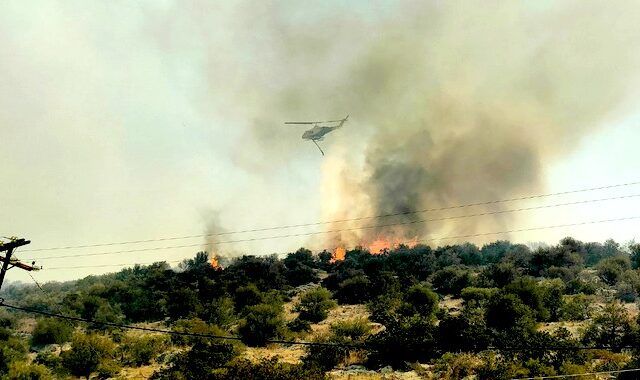 Φωτιά στη Βοιωτία: Νεκρός κτηνοτρόφος που προσπάθησε να σώσει τα ζώα του – Κοντά σε σπίτια οι φλόγες