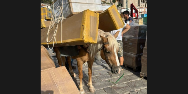 Εριέττα Κούρκουλου: Οργή για τις νέες εικόνες με φορτωμένα γαϊδουράκια στην Ύδρα – Κουβαλάνε μέχρι και ψυγεία