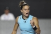 sakkari
