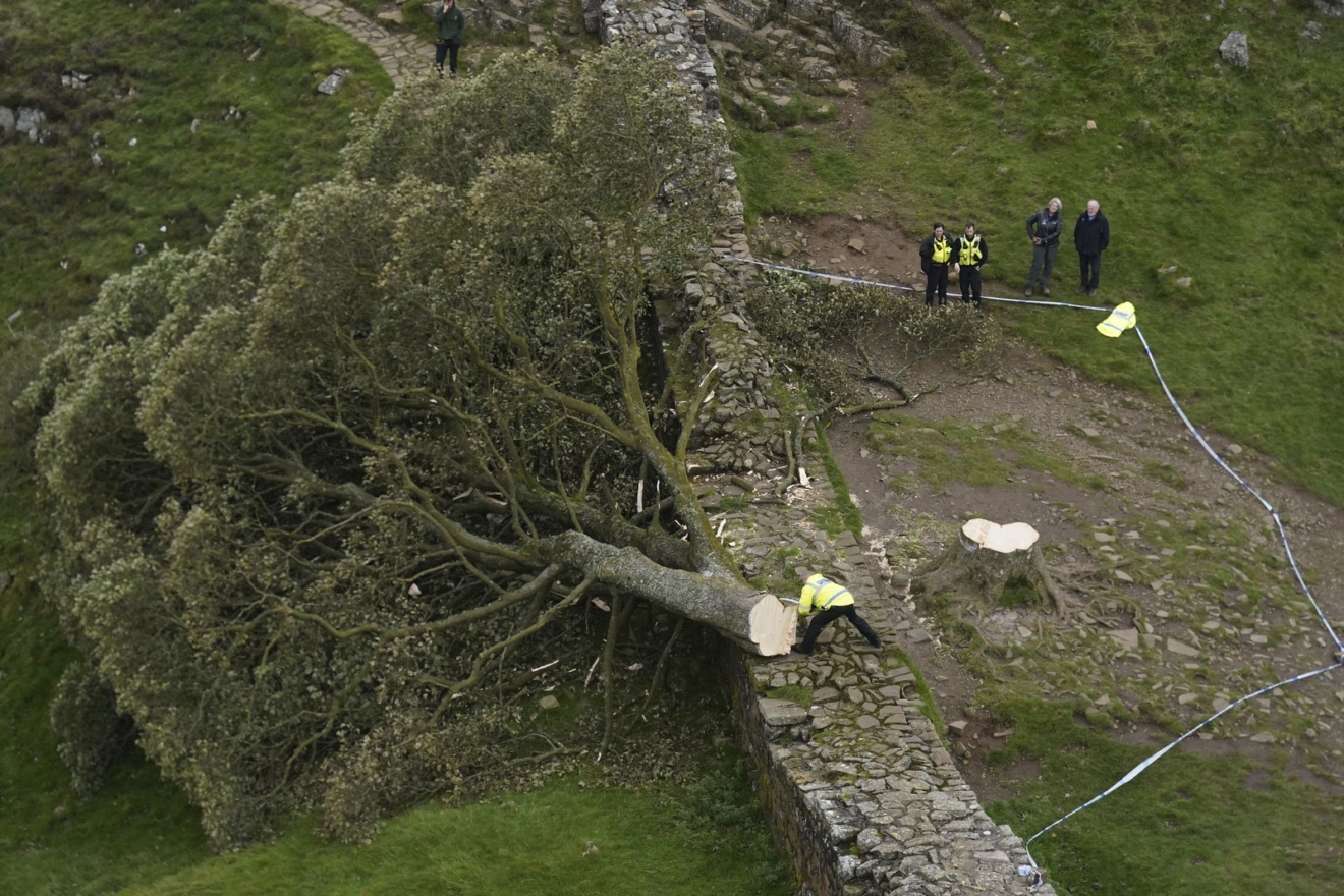 Το Sycamore Gap