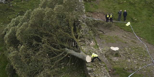Το Sycamore Gap