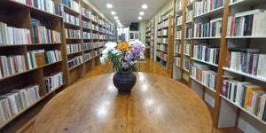 Τέσσερις ιστορίες που δείχνουν πώς αλλάζει ο κόσμος