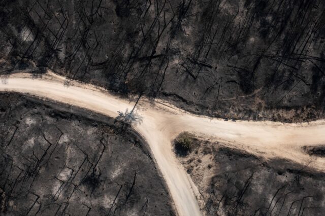 ΥΠΕΝ: Αποτίμηση επιπτώσεων πυρκαγιάς στο Εθνικό Πάρκο Δάσους Δαδιάς