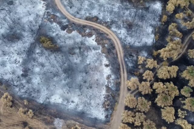 Φωτιά στον Έβρο: Αποκαρδιωτικές εικόνες από τις καμμένες εκτάσεις – Συγκλονίζουν τα βίντεο drone