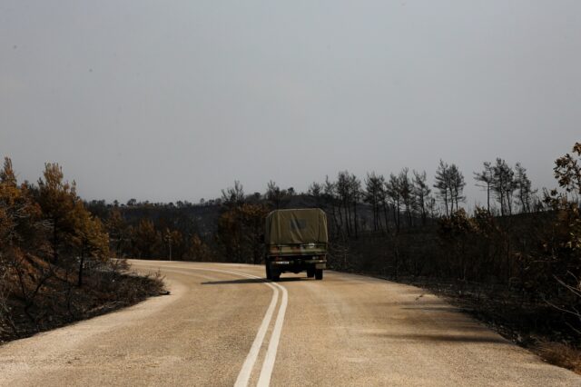 Έβρος: Χιλιάδες καμμένα ελαιόδεντρα – Εκτεταμένη η καταστροφή στο δάσος της Κίρκης