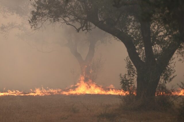 Έβρος: Σε ύφεση η φωτιά μετά από 16 ημέρες