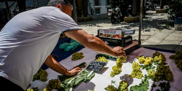 Αυξάνονται οι εισαγωγές φρούτων – Οι αιτίες