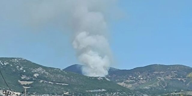 Φθιώτιδα: Μεγάλη φωτιά σε δασική έκταση στη Δίβρη