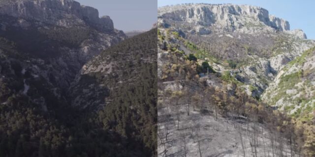Φωτιά στη Φυλή: Βίντεο drone δείχνει το “πριν” και το “μετά” την απόλυτη καταστροφή