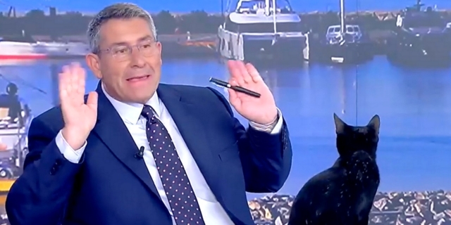 Μαύρη γάτα στο πλατό του ΣΚΑΪ