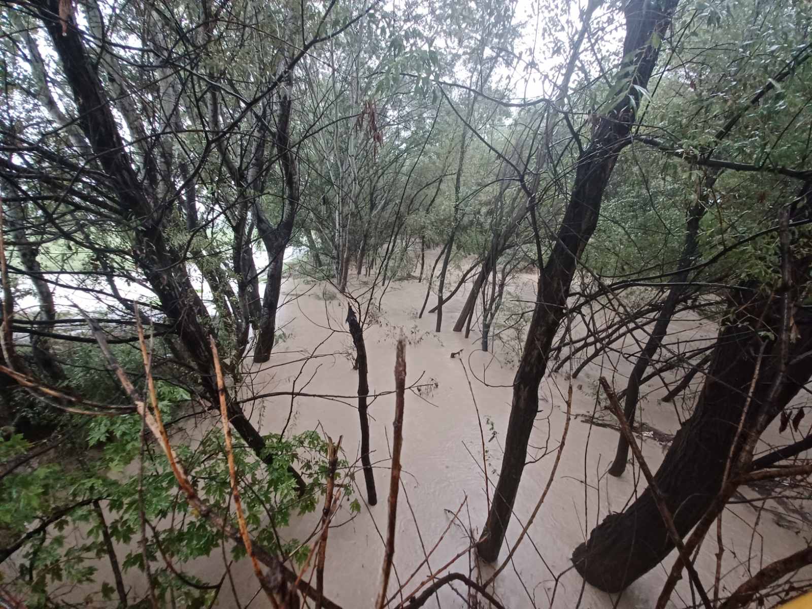 Κακοκαιρία στην Εύβοια