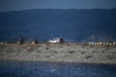 Λίμνη Κάρλα