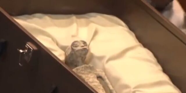 Η NASA πήρε θέση για τις “εξωγήινες μούμιες” από το Μεξικό – Τι απάντησε