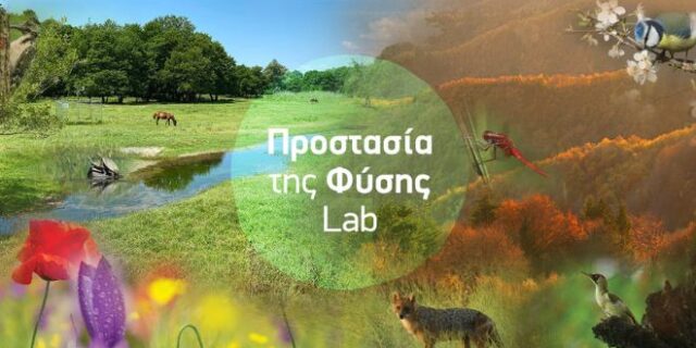 Καλλιεργώντας την πράσινη συνείδηση στα θρανία