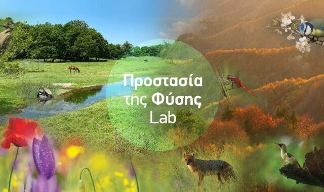 Καλλιεργώντας την πράσινη συνείδηση στα θρανία