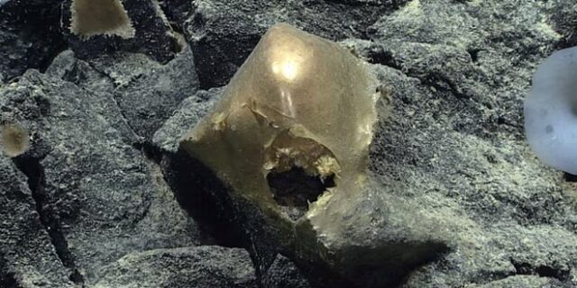 Μυστήριο στην Αλάσκα: Βρέθηκε στη θάλασσα “δερμάτινη” χρυσή σφαίρα