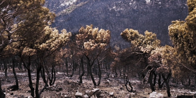 Τι άφησε πίσω της η φωτιά στην Πάρνηθα