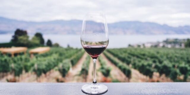 Messinia Terroirs Wine Festival: Ένα φεστιβάλ οίνου αφιερωμένο στην αναγέννηση ενός ιστορικού αμπελώνα