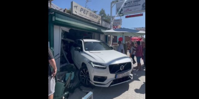 Χαλκιδική: Αυτοκίνητο “καρφώθηκε” σε κατάστημα για κατοικίδια στο Πευκοχώρι