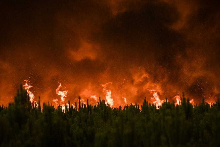 Νέα πλατφόρμα επιτρέπει στοιχήματα για δασικές πυρκαγιές – Φόβοι για αύξηση των εμπρησμών