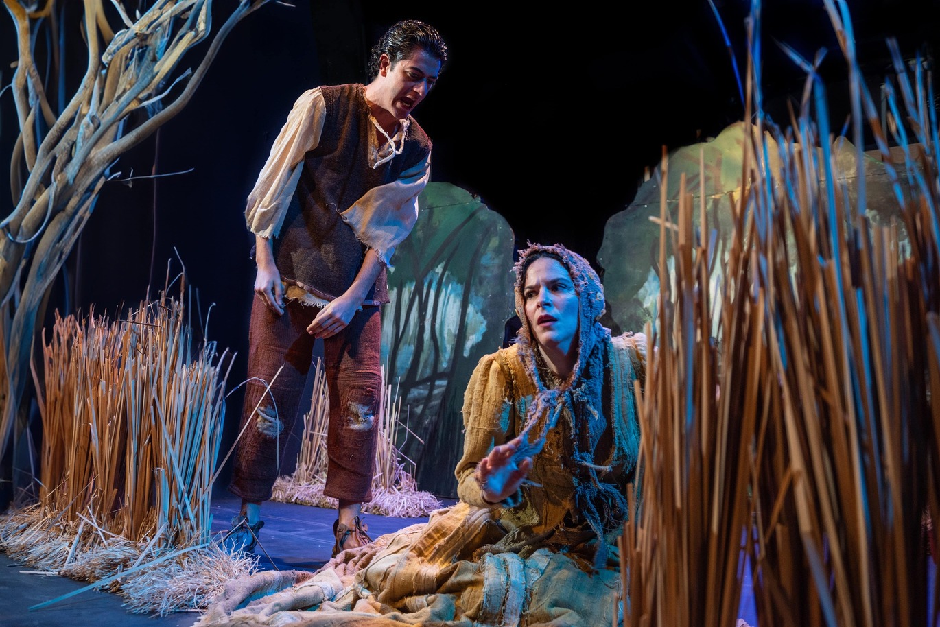 Το αστερόπαιδο του Όσκαρ Ουάιλντ