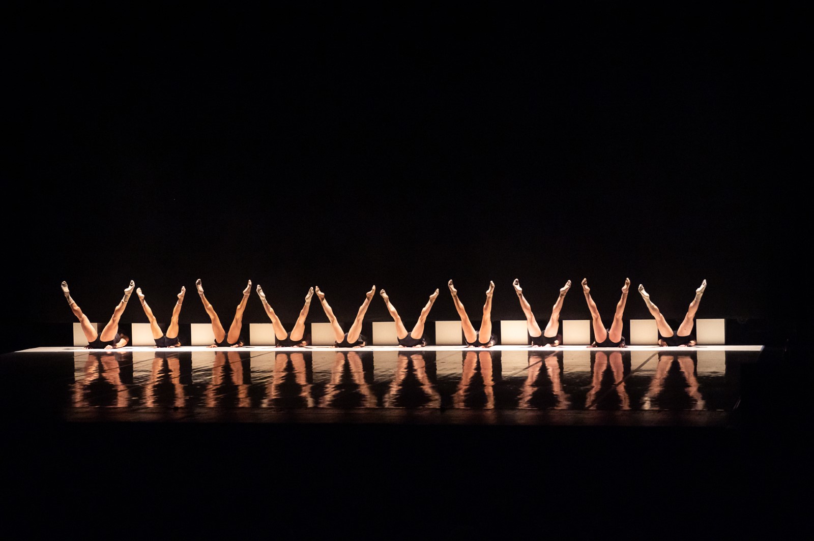 Dance Me της διάσημης ομάδας Ballets Jazz Montréal