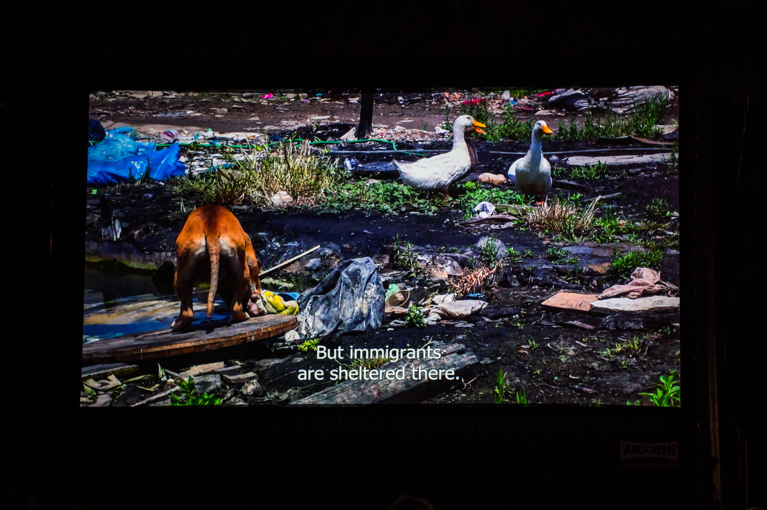 GREKIES Ελευσίνα