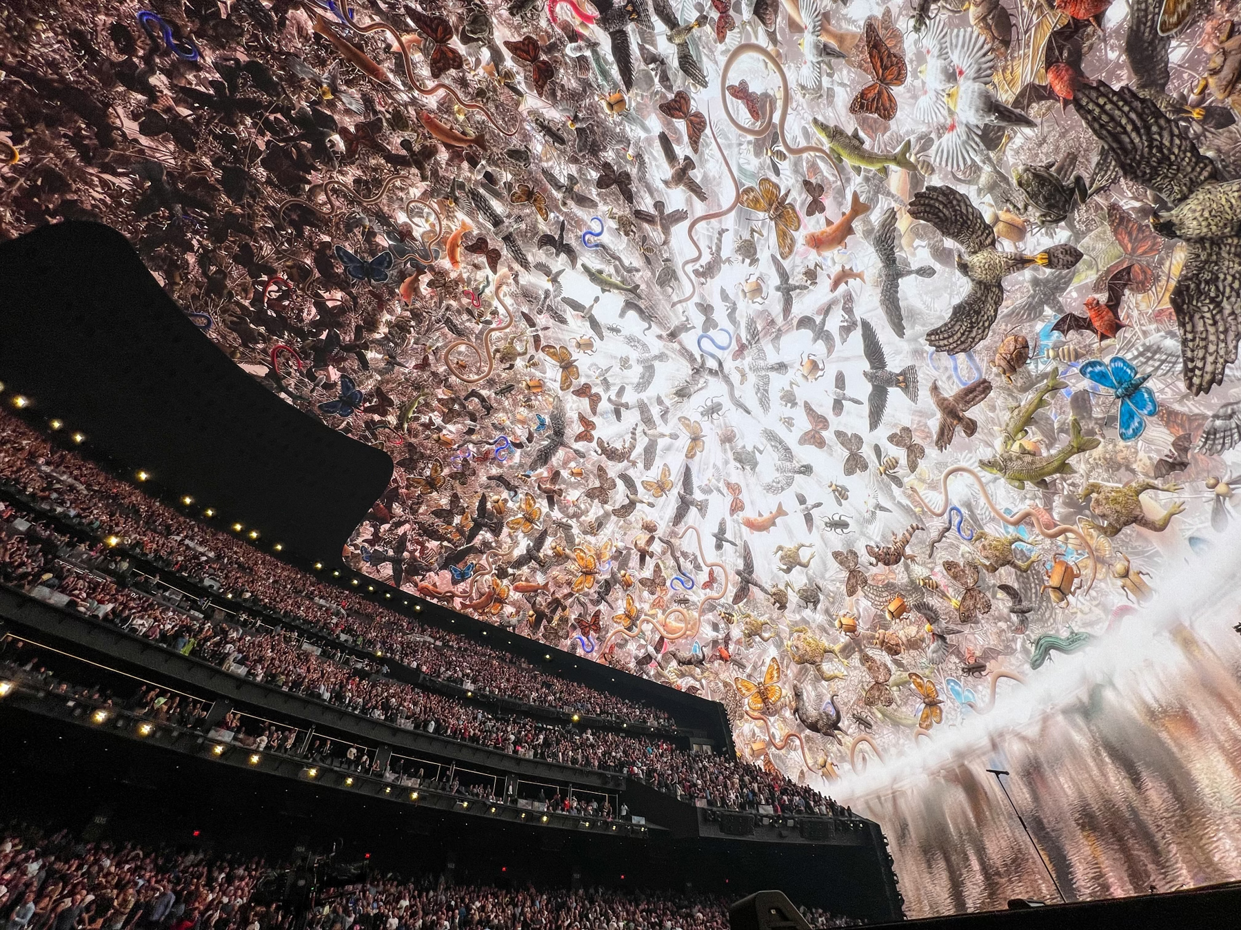 Οι U2 στο Λας Βέγκας