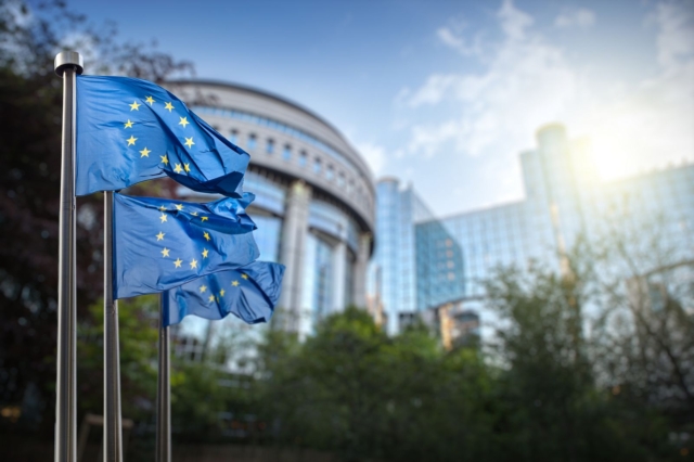 European union flag against parliament in Brussels