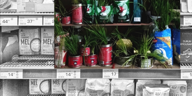 Έκθεση: ΙΧΝΟΓΡΑΦΙΑ