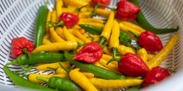 Καυτερές πιπεριές