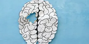 Σε ποια ηλικία αρχίζει να γερνά ο εγκέφαλος;