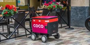 Γυναίκα κυνήγησε ρομπότ που μπήκε στην αυλή της και… διέλυσε τον κήπο