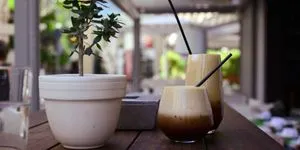 Φρέντο, franchise και ανάπτυξη: Το ελληνικό μοντέλο εστίασης που κατακτά το εξωτερικό