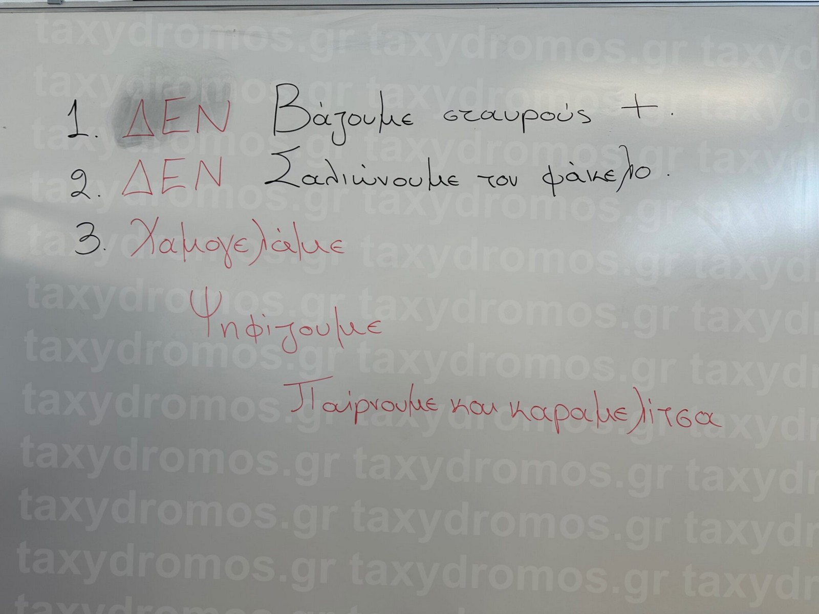 Οι οδηγίες σε εκλογικό κέντρο του Βόλου