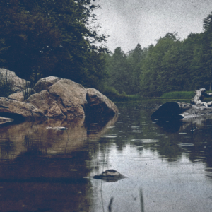 Αετομηλίτσα: Το σπάσιμο της σιωπής