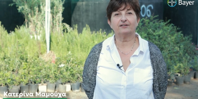 H Κατερίνα Μαμούχα, Πρόεδρος του Πολιτιστικού Συλλόγου της Κοινότητας Ροβιών
