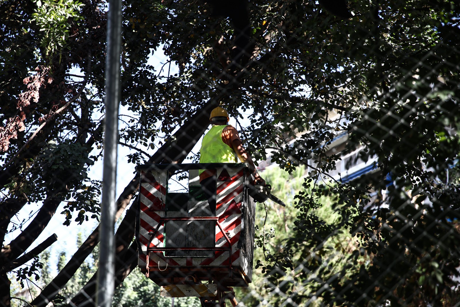 Τα κοπτικά μηχανήματα στην Πλατεία Εξαρχείων εν δράσει