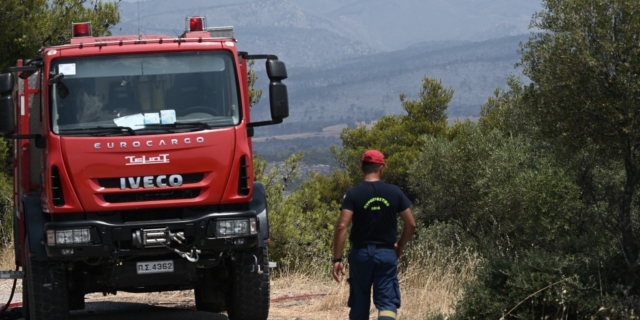 Μαραθώνας: Φωτιά κοντά στο κωπηλατοδρόμιο – Επιχειρούν ισχυρές δυνάμεις