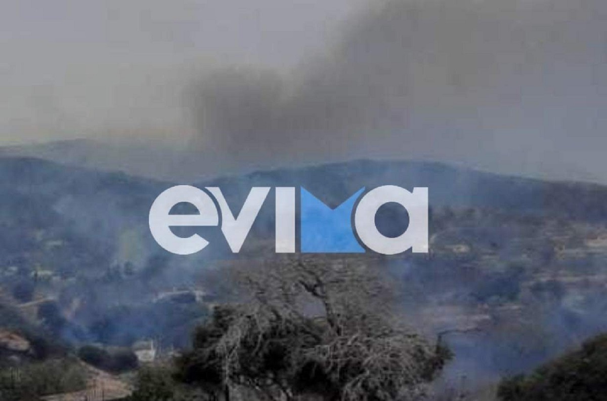 fwtia evia1