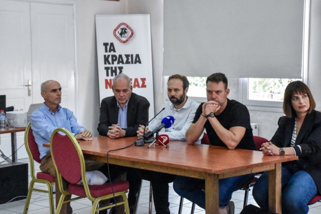 Ο Στέφανος Κασσελάκης