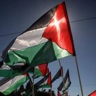 -palestine