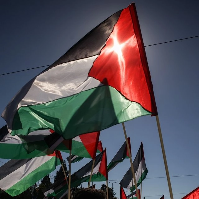 -palestine