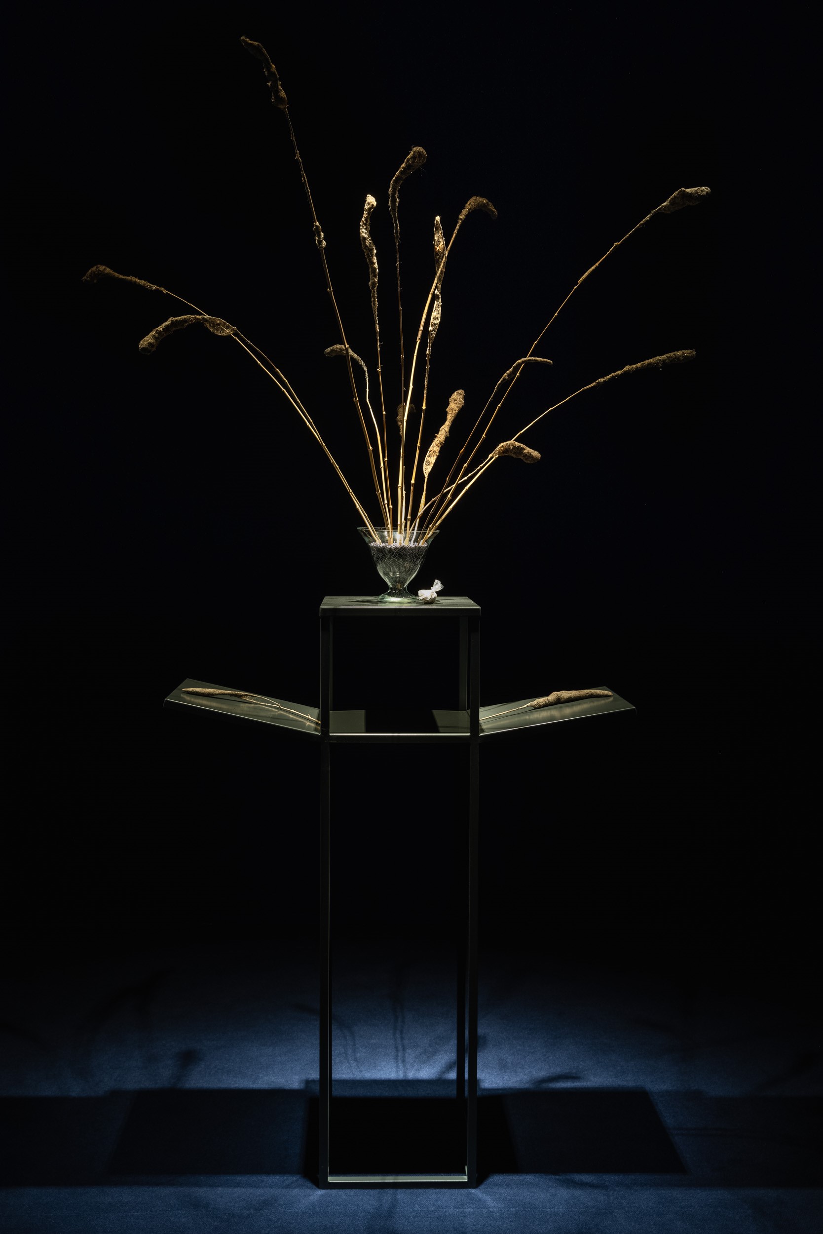 Άποψη εγκατάστασης έργου Spider Space, 2020-2023 (ιστοί αράχνης, ξύλο, γυάλινο βάζο, Ευγενική παραχώρηση της καλλιτέχνιδας)