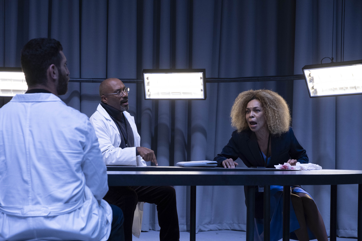 The Doctor- Κατερίνα Ευαγγελάτου