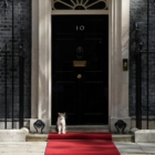 Downing Street