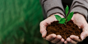Πώς θα πρασινίσει η αγροτική παραγωγή;