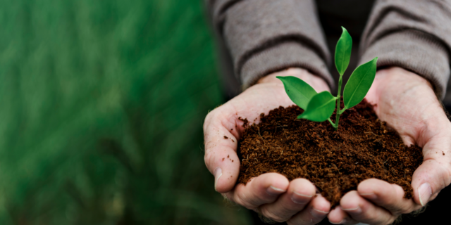 Πώς θα πρασινίσει η αγροτική παραγωγή;